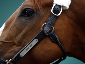 Kentucky Derby winner Justify stands outside a barn, Wednesday, May 16, 2018,  after arriving at Pimlico Race Course in Baltimore. The Preakness Stakes horse race is scheduled to take place Saturday, May 19.