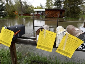 Evacuation warning notices hang on a row of mailboxes in front of a flooded area Monday, May 7, 2018, on the outskirts of Missoula, Mont. Sheriff's deputies in Montana went door to door Monday in a neighborhood along the rising Clark Fork River warning residents to prepare to leave, with the river expected to reach major flood levels in Missoula for the first time in 37 years.