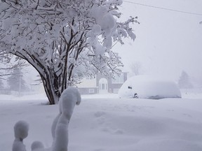 Why? Why? Why?: A May 24 snowstorm buried cars and closed schools in Newfoundland.