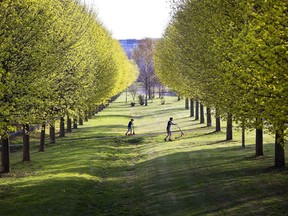 FILE - In this April 11, 2018, file photo, two boys push their scooters through a park with green blossoming trees in Frankfurt, Germany. When you weigh all life on Earth, billions of humans don't amount to much compared to trees, earthworms or even viruses, according to a study in the Monday, May 21, 2018, Proceedings of the National Academy of Sciences.