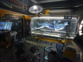 FILE - In this April 29, 2017, file photo, a Na'vi in a science lab is shown and is viewed while guests are in the queue for the Avatar Flight of Passage ride at the Pandora-World of Avatar land attraction in Disney's Animal Kingdom theme park at Walt Disney World in Lake Buena Vista, Fla. New attractions like this one are fueling an increase in theme park attendance. A new report shows that theme park attendance in North America was up 2.3 percent, powered by new attractions in Orlando. The Orlando market represents about a third of theme park attendance in North America.