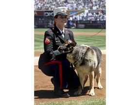Honors for Iraq vet, K-9 portrayed in film 'Megan Leavey