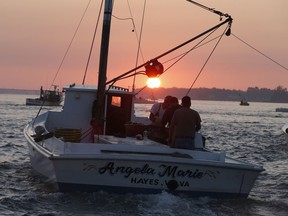 FILE - In this Thursday Oct. 8, 2015 file photo, oyster boats deploy their dredges and work a small section of the Rappahannock River as the sun rises near White Stone, Va. On Wednesday, May 30, 2018, the Chesapeake Bay Foundation, which tracks pollution in America's largest estuary said that the health of the Chesapeake Bay is improving, but huge challenges remain as manure and storm water continue to flow into the watershed.