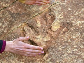 This undated photo provided by the Utah Division of Parks and Recreation shows visitors examining dinosaur tracks at the Red Fleet State Park east of Salt Lake City. The site, lined with hundreds of prehistoric raptor tracks, has been heavily damaged in the past six months. Visitors have been dislodging dinosaur tracks imprinted in sandstone and throwing the pieces into a nearby lake, officials said.  (Utah Division of Parks and Recreation via AP)