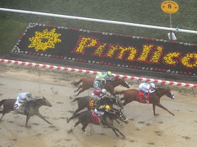 Justify, with Mike Smith aboard, wins the 143rd Preakness Stakes horse race at Pimlico race track on Saturday in Baltimore. Bravazo (8) was second, with Tenfold (6) placing third.
