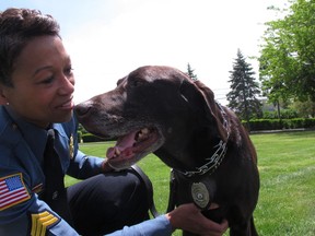 In this May 23, 2018, photo, Sgt. Tracy Stuart, of the Stockton University Police Department in New Jersey, plays with her police dog, Hemi, who won a national competition among explosive-sniffing dogs, in Galloway, N.J.