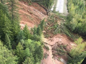 Sheri Niemegeers and Gabe Rosescu were swept into this mudslide