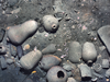 Ceramic jars and other items from the 300-year-old shipwreck of the Spanish galleon San JosÃ© on the floor of the Caribbean Sea off the coast of Colombia.