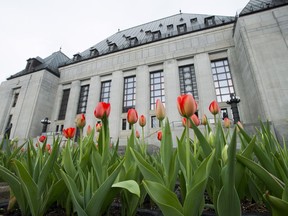 Tulips bloom in front of the Supreme Court of Canada in Ottawa on Thursday, May 10, 2018.