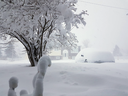 A late-spring storm buried cars in snow and closed a slew of schools in Newfoundland on May 24. More than 35 centimetres of snow was recorded.
