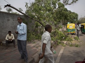 Commuters walk past an uprooted tree from yesterday's sudden storm in New Delhi, India, Monday, May 14, 2018. Powerful wind and rain storms have swept across northern India, with authorities saying dozens of people have been killed. Meteorological officials say winds reached up to 109 kilometers per hour (68 miles per hour) Sunday, blowing down trees and power lines and demolishing homes.