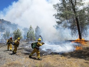 Fire crews battle a wildfire near Cache Creek Road in Spring Valley, Calif., Monday, June 25, 2018. Thousands were forced to flee their homes Monday as major wildfires encroached on a charred area of Northern California still recovering from severe blazes in recent years, sparking concern the state may be in for another destructive series of wildfires this summer.