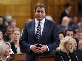 Conservative leader Andrew Scheer rises during Question Period in the House of Commons on Parliament Hill in Ottawa on Wednesday, June 6, 2018.