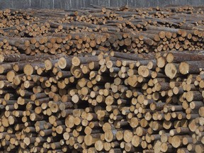 Softwood lumber is pictured at Tolko Industries in Heffley Creek, B.C., April, 1, 2018.