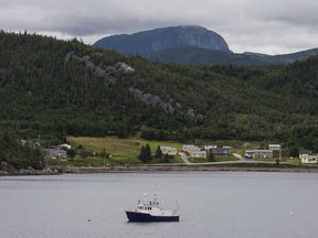A fishing boat moored in Neddy Harbour in Gros Morne National Park, Newfoundland and Labrador, on Monday, August 15, 2016. Hopes have been dashed for a recovery of the once mighty northern cod stock off Newfoundland, a leading conservation group says. Three years after scientists said there were signs of a comeback, the federal government decided this week to reduce catch limits for the groundfish, citing a spring stock assessment that said the population had declined 30 per cent after seven years of rebuilding.