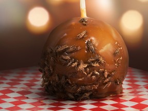 Cricket caramel apple