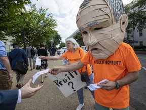 Activists opposed to Environmental Protection Agency administrator Scott Pruitt appeal to Capitol Hill workers emerging from the subway in Washington, Thursday morning, June 7, 2018. The protesters, from the "Boot Pruitt" campaign, mocked the controversial member of the Trump Cabinet for allegedly trying to get a Chick-fil-A franchise for his wife.