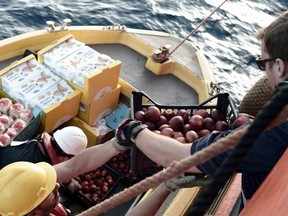This handout photo released on Tuesday, June 12, 2018 by French NGO "SOS Mediterranee" and posted on it's Twitter account shows an Italian maritime officer, left, distributing food to a crew member of the Aquarius ship, in the Mediterranean Sea. Italy's new "Italians first" government claimed victory Monday when the Spanish prime minister offered safe harbour to a private rescue ship after Italy and Malta refused to allow it permission to disembark its 629 migrant passengers in their ports.