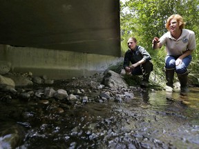 FILE - In this June 22, 2015, file photo, Julie Henning, right, division manager of the Washington Dept. of Fish and Wildlife ecosystem services division habitat program, and Melissa Erkel, left, a fish passage biologist, look at a wide passageway for the north fork of Newaukum Creek near Enumclaw, Wash. The Supreme Court is leaving in place a court order that forces Washington state to restore salmon habitat by removing barriers that block fish migration. The justices divided 4-4 Monday, June 11, 2018, in the long-running dispute that pits the state against Indian tribes and the federal government.