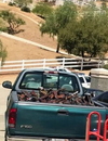 The seized firearms piled into the bed of a Ford pickup.