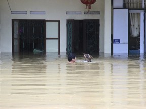 In this Sunday, June 24, 2018, photo, a man swims with his dog in the floodwaters in northern province of Ha Giang, Vietnam. Flash floods and landslides triggered by heavy rains hit northern Vietnam.