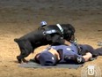 A still image from a Madrid Police video of a dog performing "CPR."