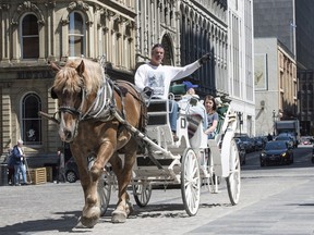 A horse-drawn carriage rides in Old Montreal Wednesday, May 18, 2016 in Montreal.