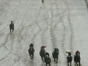 FILE - In this May 2, 2008, file photo, jockey Ramon Dominguez watches as the horse he had been riding, Chelokee, runs away after he fell off during the eighth race at Churchill Downs in Louisville, Ky. Head injuries from a fall ended Domonguez's career in 2013.