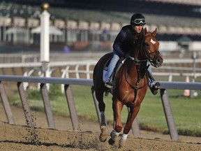 Belmont Stakes hopeful Hofburg works out at Belmont Park, Tuesday, June 5, 2018, in Elmont, N.Y. Hofburg is one of 10 horses racing in the 150th running of the Belmont Stakes horse race on Saturday.