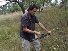 This June 8, 2018 photo shows writer Cain Burdeau sharpening a scythe he uses to cut the grass on a property in Contrada Petraro near Castelbuono, Sicily where he lives with his wife and two boys. He has chosen to cut the grass on his property with a scythe in part because he is following the example of his father, a long-time scythe user, but also because he prefers hand tools over mechanized ones. In Sicily it is important to cut grass as prevention against summertime fires.