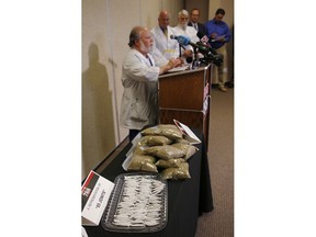 FILE - In this Wednesday, June 20, 2018 file photo, medical professionals and others line up to speak against State Question 788, at a news conference in Oklahoma City. Oklahoma's State Question 788, the result of an activist-led signature drive, would allow physicians to approve medical marijuana licenses for people to legally grow, keep and use cannabis.  In the foreground are examples of a non-marijuana substance showing of the amount of marijuana that would be allowed under the law.