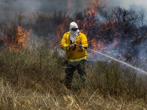 An Israeli worker of Nature and Parks Authority extinguishes a fire started by a kite with attached burning cloth launched by Palestinians from Gaza, on the Israel and Gaza border, Tuesday, June 5, 2018.