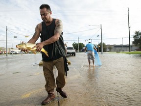 FILE - In this Aug. 29, 2017 file photo, Javier (no last name given) catches a carp in the middle of Brittmoore Park Drive in west Houston after the Addicks Reservoir overflowed due to days of heavy rain after Hurricane Harvey. On average, during the past 30 years there have been more major hurricanes (those with winds of more than 110 mph), they have lasted longer and they produced more energy than the previous 30 years, according to an Associated Press analysis of storm data.