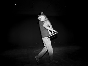 In this Thursday, June 22, 2017 photo, a Tel Aviv University employee carries a stuffed wolf to be displayed at the Steinhardt Museum of Natural History in Tel Aviv, Israel.