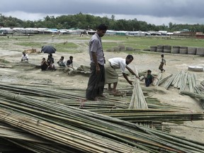 Rohingya refugees collect bundles of bamboo to build houses on Tuesday, June 26, 2018, in Kutupalong refugee camp in Bangladesh.