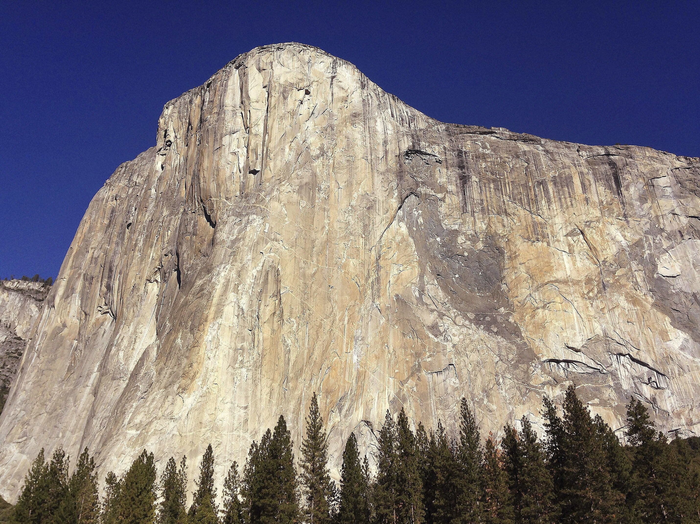 EL CAPITAN DEATHS LIST visual data 7