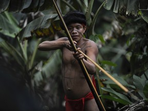 A Yanomami native man mans his bow and arrow at the Irotatheri community, Amazonas state, southern Venezuela, 19 km away from the border with Brazil, on September 7, 2012.