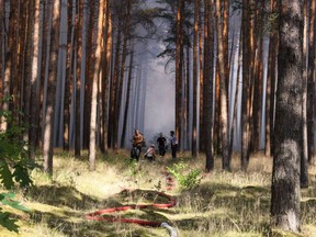 Firefighters tackle a forest fire near Potsdam, eastern Germany on July 26, 2018. Dozens of wildfires have hit countries across northern Europe and Greece as a heatwave continues to hold across much of the continent.