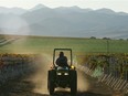 A farm worker drivers through a winery in Santa Maria, California.