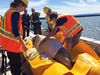 The 2017 beluga rescue involved Fisheries and Oceans Canada, conservation groups and veterinarians from the UniversitÃ© de MontrÃ©al, Chicagoâs Shedd Aquarium and the Vancouver Aquarium.