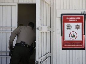 In this March 15, 2018 photo, a Los Angeles County sheriff's deputy peeks into an illegal marijuana dispensary after posting a sign prohibiting illegal marijuana sales during a raid in Compton, Calif. Legal pot shops are losing customers who can get products more cheaply at illegal outlets that don't charge or pay taxes, said Adam Spiker, executive director of the Southern California Coalition.