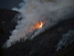 Flames from the Ferguson Fire burn down a hillside in unincorporated Mariposa County Calif., near Yosemite National Park on Sunday, July 15, 2018.