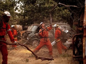 Inmate firefighters clear brush to create a fire break while battling the Ferguson Fire in unincorporated Mariposa County, Calif, on Monday, July 16, 2018.