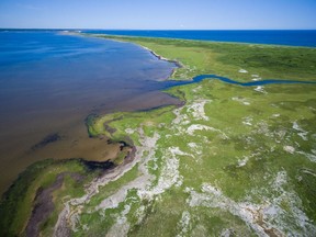 The Nature Conservancy of Canada has announced a new conservation area in PEI, about 30km north of Charlottetown, that features Acadian forest, freshwater wetland, salt marsh, and dunes. Part of the new area is seen in an undated handout image.