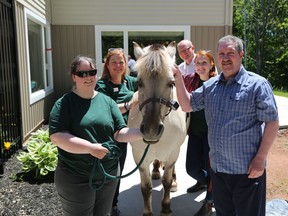 Billy the Norwegian Fjord horse is shown with Krisandra Cairns RN, Master of Science student at UNB, left to right, professor of animal science at Atlantic Veterinary College (AVC), Dr. Mary McNiven, manager of the Palliative Care Centre Peter Howatt, second-year veterinary student at AVC Justine MacPherson and day patient Kerry McKenna during a visit to the PEI Palliative Centre Centre in Charlottetown, P.E.I., in this recent handout photo. It's not unusual for patients at a P.E.I. palliative care facility to look out their room window and see a familiar horse staring back at them. Billy the Norwegian Fjord horse visits the Provincial Palliative Care Facility in Charlottetown weekly as part of a unique equine-assisted therapy program, peering into large ground-level windows and greeting patients, their families and staff in the hospital's green courtyard.