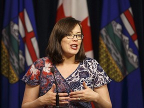 Alberta Justice Minister Kathleen Ganley speaks at a press conference in Edmonton on November 16, 2017. Alberta's justice minister says they have hired five new provincial court judges while work continues on getting new Crown prosecutors in place. Kathleen Ganley says four of the judge positions were created in the last budget, while the fifth was a vacancy.