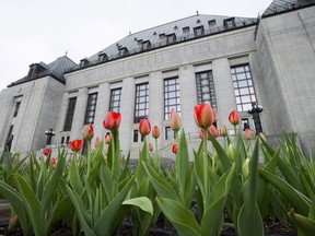 The Supreme Court of Canada will decide whether an Ottawa university can reclaim almost $500,000 in pension payments to a professor who went missing before being found dead in the woods near his home. Tulips bloom in front of the Supreme Court of Canada in Ottawa on Thursday, May 10, 2018.