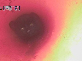 An adventurous feline has been rescued after getting trapped in an underground pipe in Kamloops, B.C. Dan Groess, owner of A Groess Underground sewer and drain services, says he responded to a call Monday about a black kitten stuck in a conduit that was less than seven centimetres in diameter. The cat is seen in a handout image from a video inspection camera, in Kamloops, B.C., on July 17, 2018.