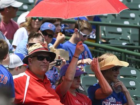 Chicago Cubs fans try to keep cool before a baseball game against the Minnesota Twins, Sunday, July 1, 2018, in Chicago.