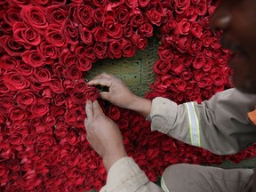 A local works on placing roses on a structure made to resemble the Cochasqui pyramid temple as they try to impose a new category in the Guinness World Records as the biggest structure made with roses, in Tabacundo, Ecuador, Friday, July 20, 2018. Hundreds of volunteers helped and they will find out on Saturday if they have succeeded in achieving the record.